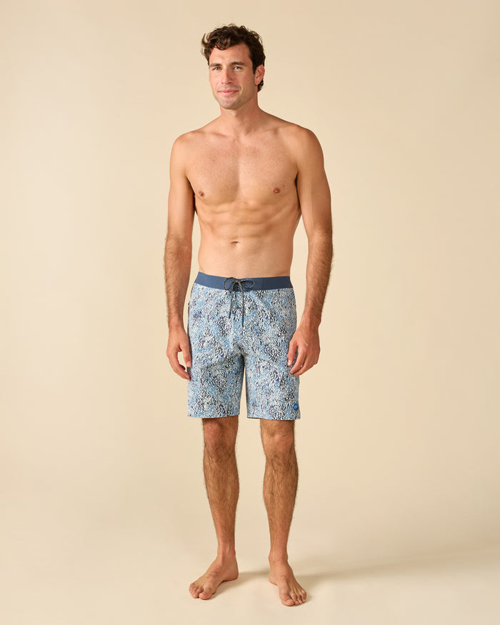 APEX Evolution Trunk By Kelly Slater