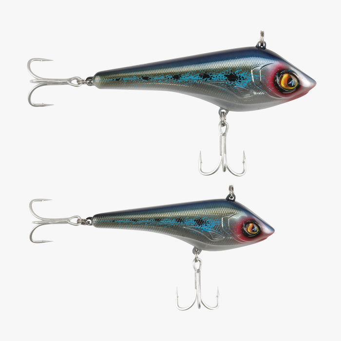 Sardine