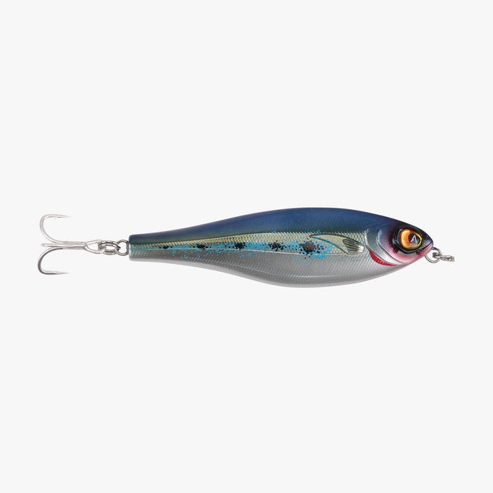 Sardine $Sardine$