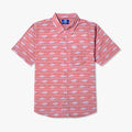 Soft Coral $Soft Coral$