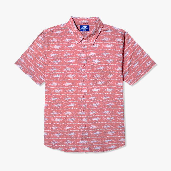 Soft Coral $Soft Coral$