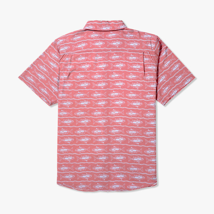 Soft Coral $Soft Coral$