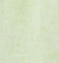 Bomba Washed Linen Key Lime Green Blouse