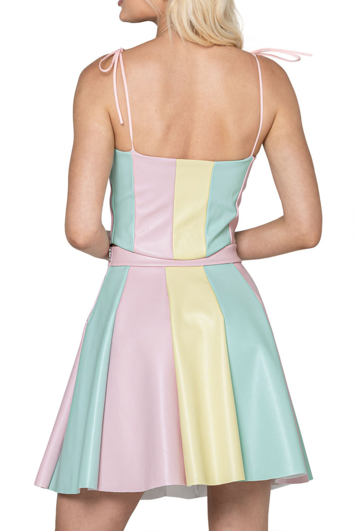 Carousel Charley Skater Skirt