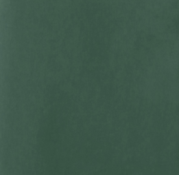 A solid dark forest green textured surface filling the entire frame.
