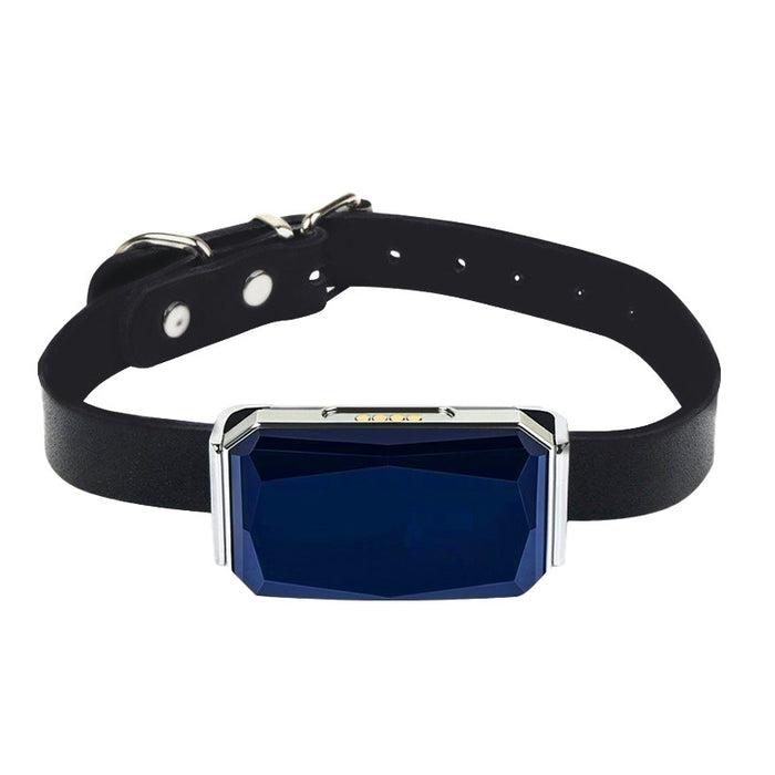 G12 Waterproof Smart GPS Tracking Collar