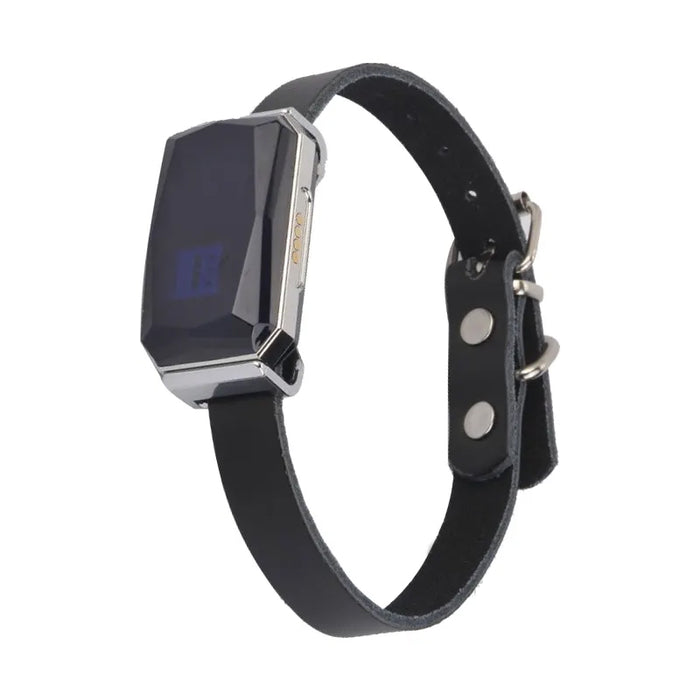 G12 Waterproof Smart GPS Tracking Collar