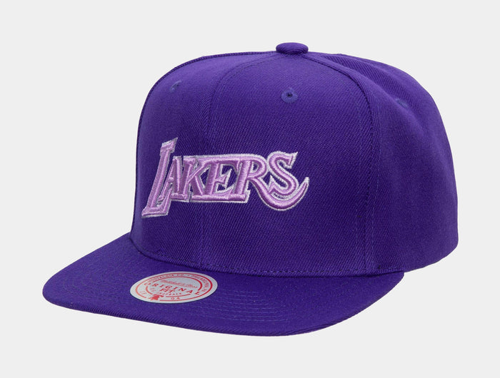 Los Angeles Lakers Monochromatic Snapback Mens Hat (Purple)