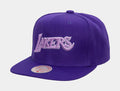 Los Angeles Lakers Monochromatic Snapback Mens Hat (Purple)