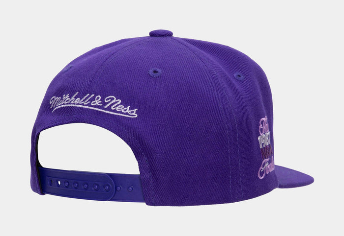 Los Angeles Lakers Monochromatic Snapback Mens Hat (Purple)