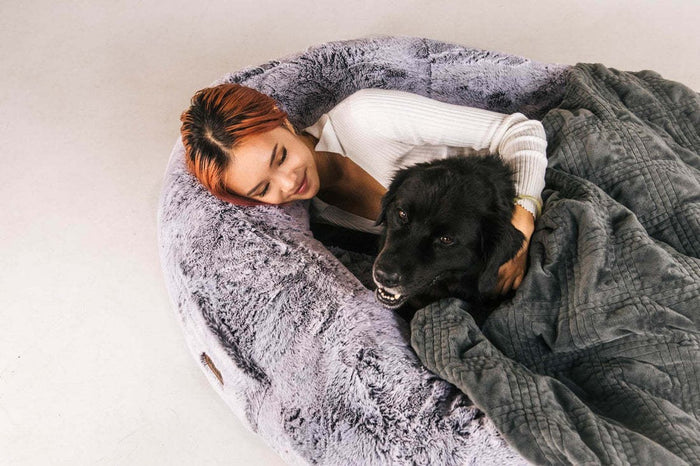 Oversized Portable Companion Bed for Pets & Owners
