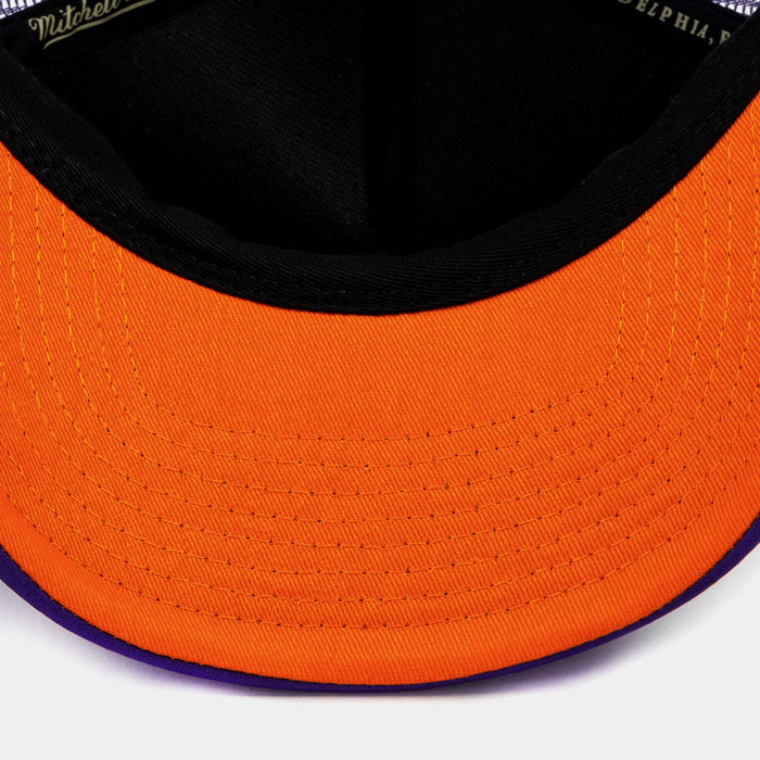 Phoenix Suns Billboard Trucker Mens Hats (Purple)