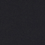 black color swatch