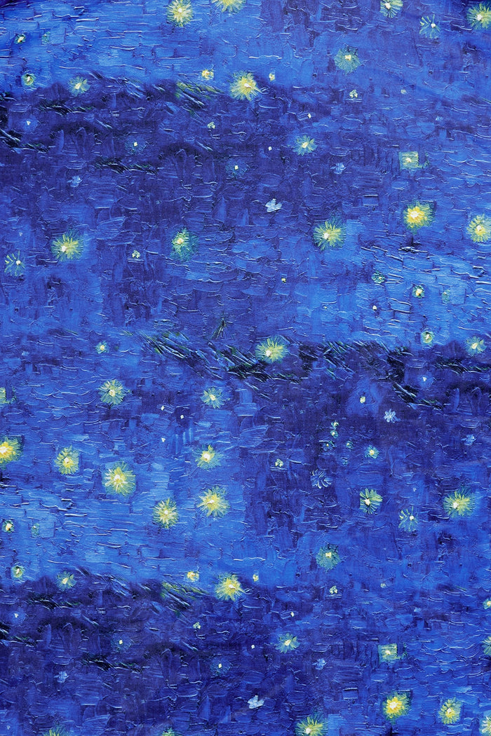 Starry Night Over The Rhône dress with elegant midi length, designed for art lovers seeking comfortable occasion wear and timeless feminine style.