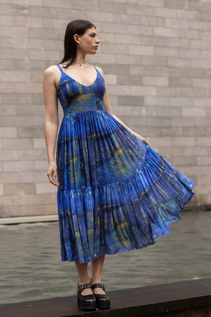 Starry Night Over The Rhône Sheer Midaxi Dress