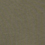 Solid olive green color swatch