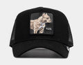 The Flex Pitbull Trucker Mens Hat (Black)