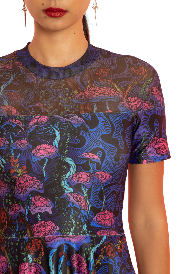 The Garden of Nutrients Sheer Splice Skater Dress