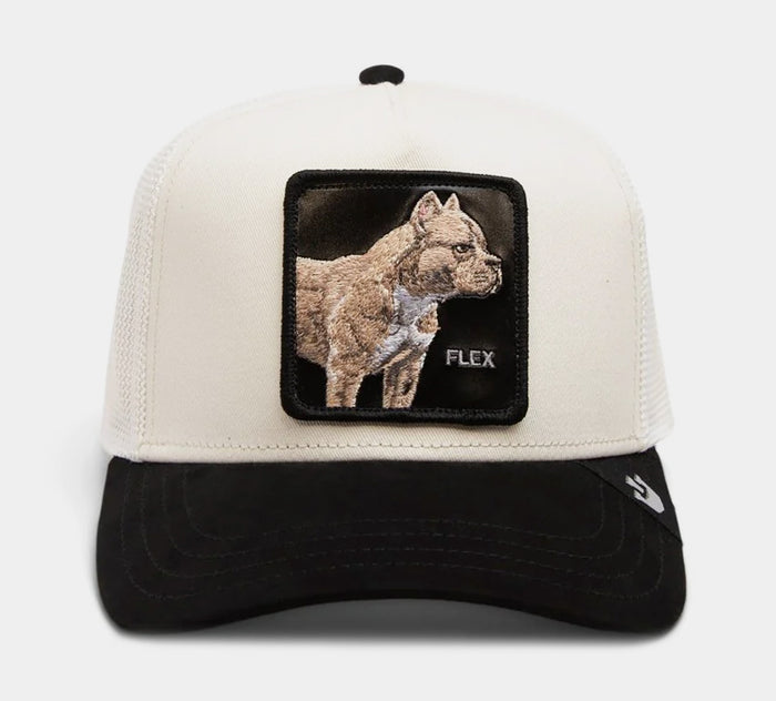 The Pitbull Suede Trucker Mens Hat (Beige/Black)