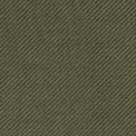 Olive Green Swatch